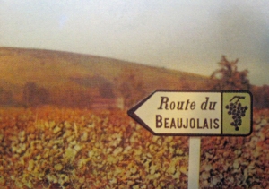 pinker-route-beaujolais
